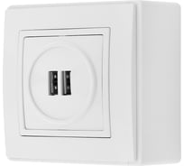 Розетка USB Bylectrica 2-местная, открытая установка, серия УЮТ, белый РП5-429