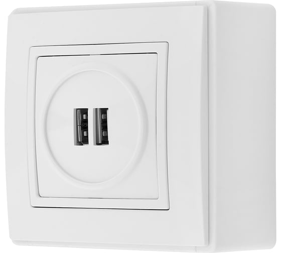 Розетка USB Bylectrica 2-местная, открытая установка, серия УЮТ, белый РП5-429 1