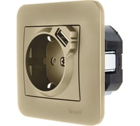 Розетка Lezard ASTI с/з + USB разъём золото 7081-3636-181