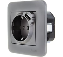 Розетка Lezard ASTI с/з + USB разъём платина 7081-3535-181