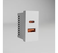 Модульная розетка USB тип A+C 45х22,5 WERKEL W1272701 белый a072528