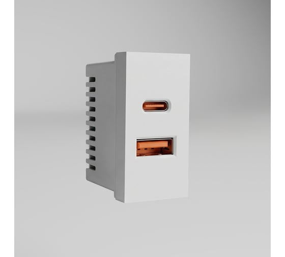 Модульная розетка Werkel USB тип A+C 45*22,5 W1272701 белый a072528