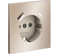 Накладка Voltum S70 Metal для розетки с заземлением и защитными шторками, с USB A+C, платина VLSM001010