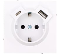 Розетка с/з TC + USB разъем Lezard ESTET белая 745-0288-181TC