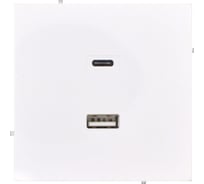 Розетка TC+ USB разъем Lezard ESTET белая 745-0288-192TC