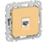 Розетка IEK FLITE компьютерная, RJ45, категория 5Е, UTP РК5е-1-0-ФлЗ золотарник FI-K12-1-K90 1