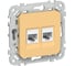 Розетка IEK FLITE 2-местная, компьютерная, RJ45, категория 6, UTP РК6-2-0-ФлЗ золотарник FI-K22-2-K90 1