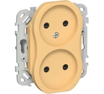 Розетка IEK FLITE 2-местная, без заземления, с защитными шторками, 10А РСш02-0-ФлЗ золотарник FI-R23-10-K90