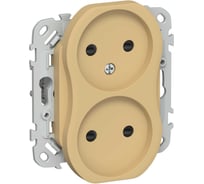 Розетка IEK FLITE 2-местная, без заземления, с защитными шторками, безвинтовое крепление 10А РСш02-1-ФлШм шамуа FI-R23-10-1-K89