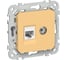 Розетка IEK FLITE 2-местная, RJ45/TV, категория 5Е, UTP РКТВ5е-2-0-ФлЗ золотарник FI-AK22-1-K90 1