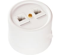 Компьютерная розетка BIRONI Пластик Белый 2-ая RJ45 B1-302-21