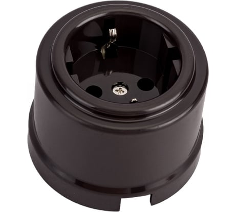 Розетка BIRONI Пластик Коричневый с заземлением B1-101-22