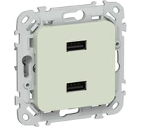 Розетка IEK FLITE USB A+A 3,1А РЮ-2-ФлП панг FI-U21-D31-K92