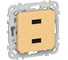 Розетка IEK FLITE USB A+A 3,1А РЮ-2-ФлЗ золотарник FI-U21-D31-K90 3