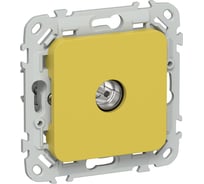 Розетка TV экранированная оконечная IEK FLITE тип M РТВм-1-1-1-ФлЖК желтый карри FI-A13-O-K44