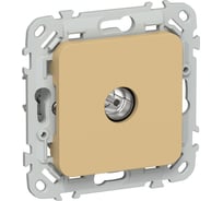 Розетка TV экранированная проходная IEK FLITE тип M РТВм-1-1-2-ФлШм шамуа FI-A13-P-K89