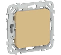 Заглушка с суппортом IEK FLITE ЗГ-ФлШм шамуа FI-PL10-K89