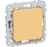 Заглушка с суппортом IEK FLITE ЗГ-ФлЗ золотарник FI-PL10-K90