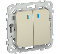 Выключатель 2-клавишный проходной с индикацией IEK FLITE 10А ВС62-1-1-ФлШ шампань FI-V22-1-10-1-K37