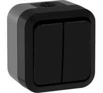 Выключатель двухклавишный проходной IEK TORS 10А IP55 TS125 графит TS-V22-0-10-55-K53