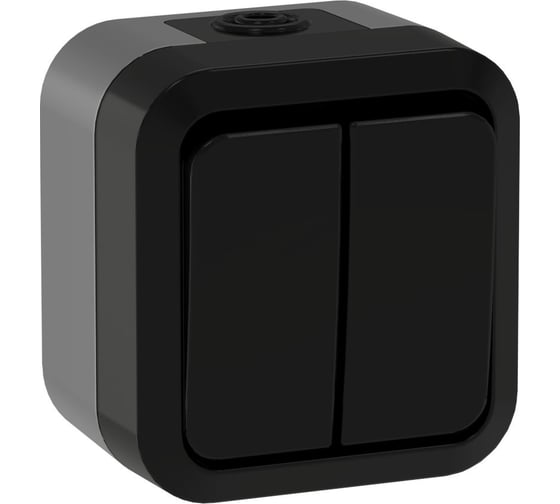 Выключатель двухклавишный проходной IEK TORS 10А IP55 TS125 графит TS-V22-0-10-55-K53