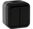 Выключатель двухклавишный проходной IEK TORS 10А IP55 TS125 графит TS-V22-0-10-55-K53 1