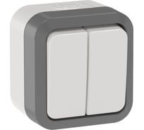 Выключатель двухклавишный проходной IEK TORS 10А IP55 TS225 сер-бел TS-V22-0-10-55-K41