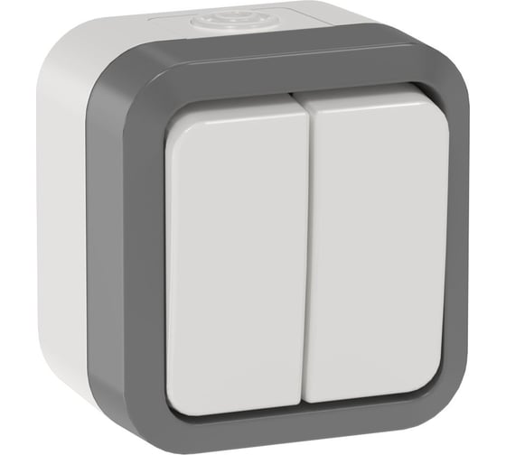 Выключатель двухклавишный проходной IEK TORS 10А IP55 TS225 сер-бел TS-V22-0-10-55-K41