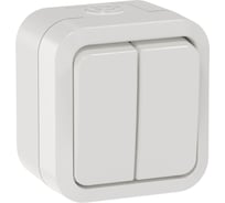 Выключатель двухклавишный проходной IEK TORS 10А IP55 TS325 белый TS-V22-0-10-55-K01