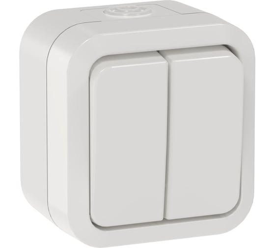 Выключатель двухклавишный проходной IEK TORS 10А IP55 TS325 белый TS-V22-0-10-55-K01
