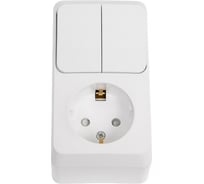 Розетка + выключатель 2-клавишный Systeme Electric Этюд, наружная, с/з, со шторками SE BPA16-202B