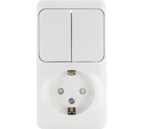 Розетка + выключатель 2-клавишный Systeme Electric Этюд, наружная, с/з, со шторками SE BPA16-202B 20633206