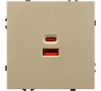 Розетка USB Arlight ARL NOBE тип A+C софт-тач золотой песок SCT-MUAC-SFPL-FC-GD 1шт 054318(1)