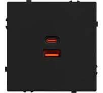 Розетка USB Arlight ARL NOBE тип A+C софт-тач черный оникс SCT-MUAC-SFPL-FC-BK 1шт 054317(1)