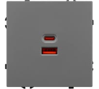 Розетка USB Arlight ARL NOBE тип A+C софт-тач серый базальт SCT-MUAC-SFPL-FC-GR 1шт 054319(1)