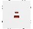 Розетка USB Arlight ARL NOBE тип A+C софт-тач белый кварц SCT-MUAC-SFPL-FC-WH 1шт 054316(1) 1