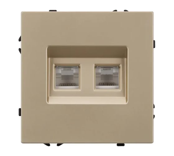Розетка компьютерная Arlight ARL NOBE двойная софт-тач золотой песок SCT-MPC2-SFPL-GD  Arl 1шт 054314(1)