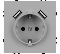 Розетка Arlight ARL NOBE заземляющий контакт, со шторками с USB тип А+А софт-тач никель SCT-MUAA-SFPL-IS  , 1шт 059443(1)