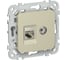 Розетка IEK FLITE 2-местная RJ45/TV категория 6 STP РКТВ6-2-1-ФлШ шампань FI-AK21-2-K37 1