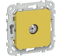 Розетка TV IEK FLITE экранированная проходная тип M РТВм-1-1-2-ФлЖК желтый карри FI-A13-P-K44