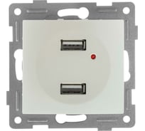 Механизм розетки GUSI ELECTRIC USB, двойной, СУ, жемчуг С11USB2-028