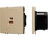 Розетка USB Arlight ARL NOBE тип А+С+С софт-тач золотой песок SCT-MUACC-SFPL-FC-GD 1шт 061836(1) 2