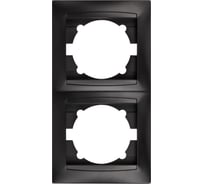 Рамка 2-х постовая вертикальная графит "Лама" TDM ELECTRIC SQ1815-0633