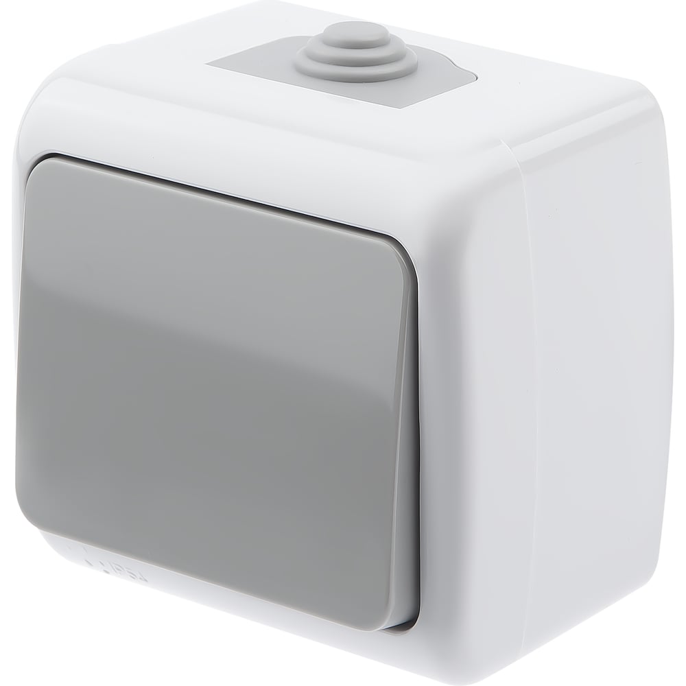 Выключатель Intro Atlantic 5-101-03 10А-250В IP54 открытой установки ...