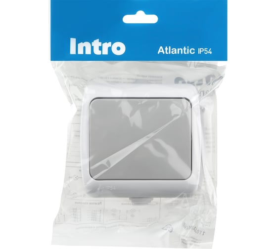 Выключатель Intro Atlantic 5-101-03 10А-250В IP54 открытой установки серый Б0050940