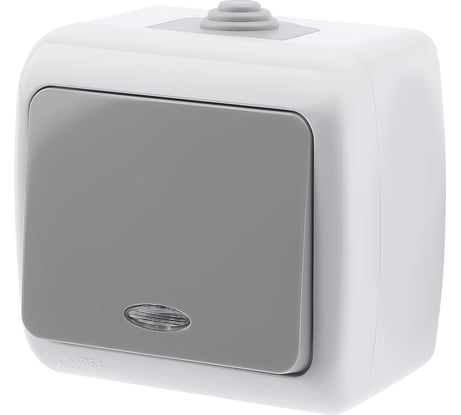 Выключатель Intro Atlantic 5-102-03 с подсветкой 10А-250В IP54 открытой установки серый Б0050941