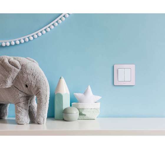 Двухклавишный выключатель Legrand - INSPIRIA - 10 AX - 250 В - белый 673620