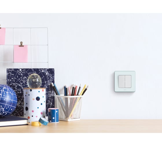 Двухклавишный выключатель Legrand - INSPIRIA - 10 AX - 250 В - белый 673620