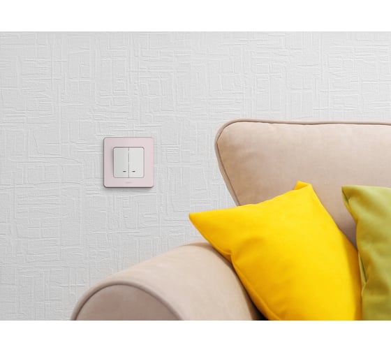 Выключатель Legrand двухклавишный с подсветкой/индикацией Legrand Inspiria 10А 250В безвинтовые зажимы белый 673630