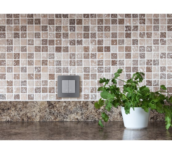 Выключатель Legrand двухклавишный с подсветкой/индикацией Legrand Inspiria 10А 250В безвинтовые зажимы алюминий 673632